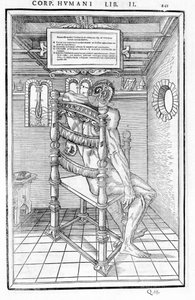 Cięcie czaszki. Plansza anatomiczna „Sekcja trzech części ludzkiego ciała...” Carlo Stefano Riverio, Paryż 1545 autorstwa Unknown artist