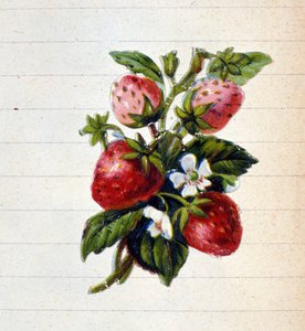 Truskawki. XIX-wieczna chromolitografia. autorstwa Unknown artist