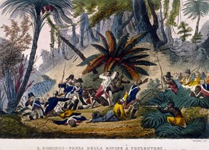 Zrobione de la Ravine w Works w dniu 23.02.1802. Wyprawa Leclerca, która otacza oddziały Francois Dominique Toussaint, znana jako „Toussaint-Louverture” (Toussaint Louverture autorstwa Unknown artist