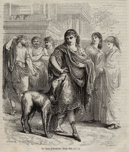 Pies Alcybiadesa - Pies męża stanu i mówcy Alcybiadesa i generała Ateńczyka, grawerowanie 450-404 pne z 1864 r. autorstwa Unknown artist