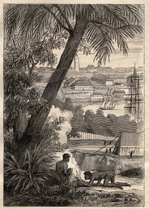 Wyprawa na Ziemie Południowe (1800-1803) Nicolasa Baudina (1754-1803): Widok na Sydney (Australia) – ilustracja z „Wielkich Marynarzy XVIII wieku”” autorstwa Unknown artist