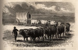 Ster i zaczep są na dużych równinach. Grawer dla ilustracji podróży na daleki zachód Ameryki, autorstwa M. L. Simonina, w 1867 r., opublikowany w „Le tour du monde, nouveau journal des voyages” pod redakcją Edouarda Chartona autorstwa Unknown artist