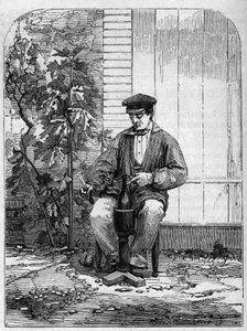 Butelkowanie wina szampana. Grawerunek z 1864 roku. autorstwa Unknown artist
