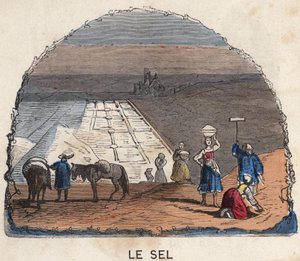 Zbiórka soli. Ilustracja z XIX wieku. Kolekcja Bianchetti. autorstwa Unknown artist