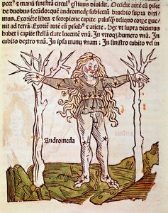 Konstelacja Szczegółu Andromedy wywodzi się z „”Poeticon astronomicon”” przypisywanego rzymskiemu historykowi Hyginowi (Gaius Julius Hyginus) (I wiek pne) (konstelacja Andromedy, od „”Poeticon astronomicon”” przypisywanego Hyginusowi (I wiek pne)) autorstwa Unknown artist