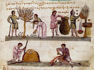 Zbiór oliwek, produkcja miodu i ubój jagnięciny Miniatura z dojenia myśliwskiego „Cynegetics” Oppiana (Oppian lub Oppianus) z Syrii (III wne) poświęcona Karakalli. Wenecja z XI wieku. Biblioteca Marciana autorstwa Unknown artist
