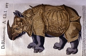 Nosorożec według „Historii zwierząt” Conrada Gesnera, Tiguri 1560 autorstwa Unknown artist