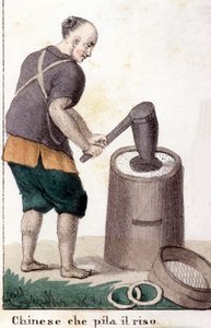 Un chinese qui pille le riz - w uniwersalnym stroju wszystkich narodów świata autorstwa Unknown artist
