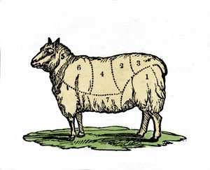 Różne kawałki owiec rzeźnika. Ilustracja z końca XIX wieku. autorstwa Unknown artist