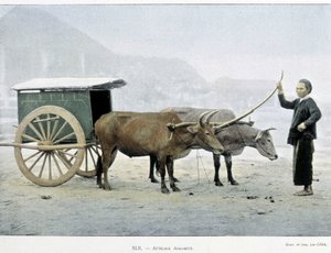 Wietnamski Hitch, „Dookoła świata”, koniec XIX wieku. autorstwa Unknown artist