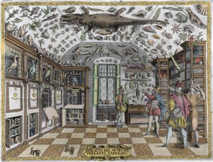 Widok na muzeum (gabinet) osobliwości (muzeum encyklopedyczne) aptekarza Ferrante Imperato (1550 - 1631). Rycina z 1678 r. Muzeum aptekarza neapolitańskiego Ferrante Imperato. autorstwa Unknown artist