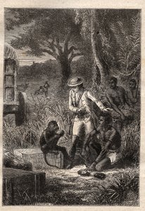 Voyage dans la Caffrerie (Republika Południowej Afryki) (1781) autorstwa Francois Levaillant (Le Vaillant) (1753-1824): Levaillant i jego małpa degustateur Maitre Kees, który degustuje owoce i korzenie, aby sprawdzić, czy są jadalne - ilustracja zaczerpnię autorstwa Unknown artist
