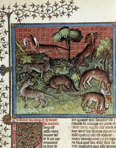 Motto wilka i całej jego natury. Miniatura z Gaston Phoebus (1331-1391) dit Gaston III Comte De Foix autorstwa Unknown artist