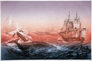 Wielorybniczy statek nie uratował swoich wywróconych łodzi wielorybów autorstwa Unknown artist