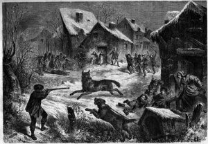 Polowanie na wilki we wsi Saliers, Bouches du Rhone (13), 31 grudnia 1860 r. Grawer „”Le Monde Illustré”” n¡196 z 12 stycznia 1861 r. autorstwa Unknown artist