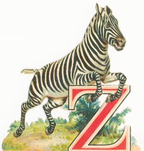 Z: Zebra autorstwa Unknown artist