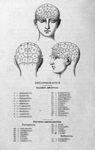 ilustracja z książki Charlesa Rouvina z 1873 r. Organographie La Tête humaine, ilustrowane studia z zakresu frenologii i fizjonomii zastosowane do znanych postaci Paryż 1873 autorstwa Unknown artist