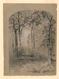 Rysunek, Studium lasu, 1865-70 autorstwa Unknown artistUnknown artist