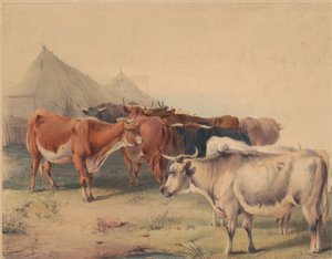 Stado bydła autorstwa Unknown artist