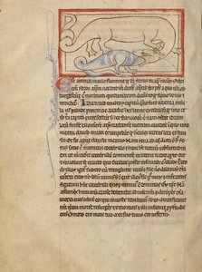 Hydrus autorstwa Unknown artist