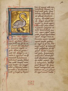 A Swan autorstwa Unknown artist