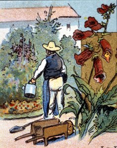 Ogrodnik, chromolitografia autorstwa Unknown artist