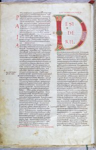 Strona z XI-wiecznej Biblii z wielką literą D autorstwa Unknown artist