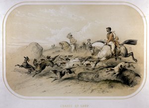 Polowanie na wilka. Grawerowanie z XIX wieku. autorstwa Unknown artist