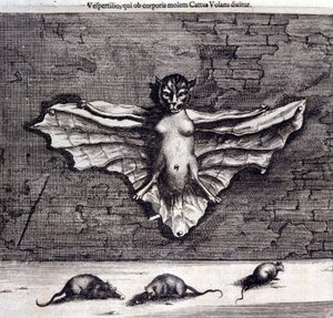 Nietoperze i szczury. „De China Monumenta” Athanasiusa Kircher autorstwa Unknown artist