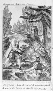 Bernard de Jussieu, francuski botanik (1699-1777) sadzi cedr z Libanu w ogrodzie roślin w Paryżu autorstwa Unknown artist