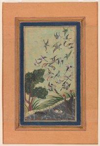 Ptaki w Baran, prawdopodobnie z Babur-nama autorstwa Unknown artist