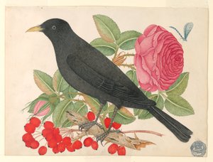 Czarny ptak z różami autorstwa Unknown artist