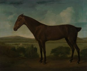 Brązowy koń w pagórkowatym krajobrazie autorstwa Unknown artist