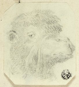 Głowa wielbłąda skierowana w prawo autorstwa Unknown artist