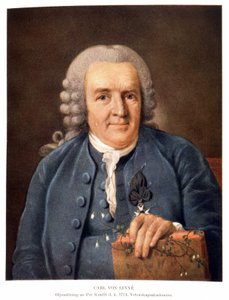 Carl Von Linné Szwedzki przyrodnik i pisarz autorstwa Unknown artist
