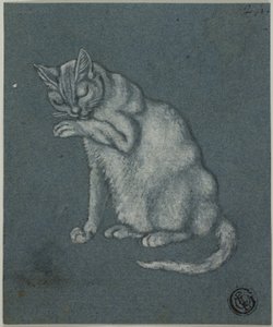 Łapa Lizanie Kota autorstwa Unknown artist