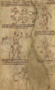Diagramy konstelacji autorstwa Unknown artist