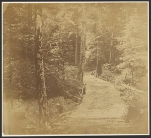 [Corduroy Road w drodze do Harper