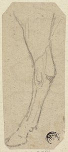 Krowia noga autorstwa Unknown artist