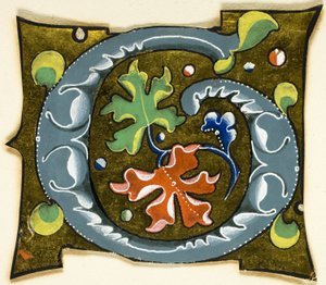 Zdobiony inicjał "G" w kolorze szarym z czerwonymi, zielonymi i niebieskimi liśćmi z rękopisu autorstwa Unknown artist