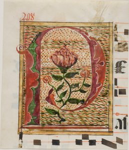Zdobiony inicjał "P" z kwiatami z rękopisu autorstwa Unknown artist