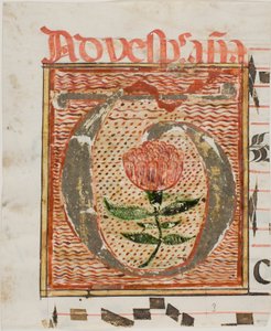 Zdobiony inicjał "T" z kwiatem z rękopisu autorstwa Unknown artist