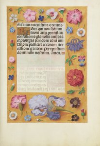 Ozdobiona strona tekstowa autorstwa Unknown artist