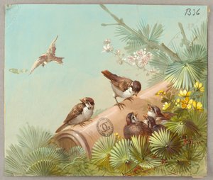 Wzory tapet i tekstyliów: kwiaty i ptaki autorstwa Unknown artist