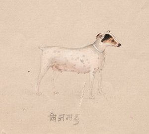 Pies autorstwa Unknown artist