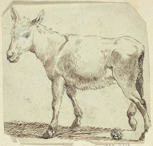 Osioł autorstwa Unknown artist