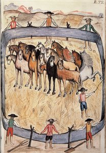 Ujeżdżenie dzikich koni, z książki „Trujillo del Peru” lub „Kodeks Martinez Companion”, autorstwa Baltazara Martineza Companion i Bujandy, biskupa Trujillo (1782-1785) autorstwa Unknown artist