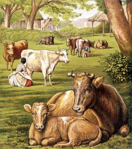 Rolnicy ciągnący mleko. 19 wiek. autorstwa Unknown artist