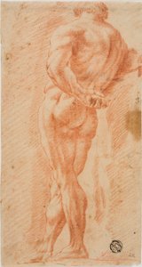 Herkules Farnese autorstwa Unknown artist