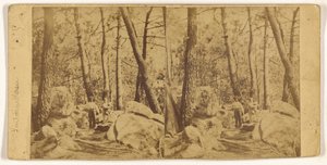 [Fontainebleau] autorstwa Unknown artist